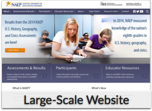 Large-Scale Website